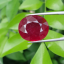 พลอย ทับทิม Ruby sapphire 20.25 กะรัต (Cts.) พลอยแท้ อัญมณีมงคลประจําวันเกิด เครื่องประดับพลอย
