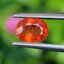 พลอย บุษราคัม Yellow Sapphire 0.95 กะรัต (Cts.) พลอยแท้ อัญมณีมงคลประจําวันเกิด เครื่องประดับพลอย