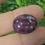 พลอย ทับทิม (Ruby In Zoisite) 24.11 กะรัต (Cts.) พลอยแท้ อัญมณีมงคลประจําวันเกิด เครื่องประดับพลอย