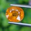 พลอย บุษราคัม Yellow Sapphire 3.90 กะรัต (Cts.) พลอยแท้ อัญมณีมงคลประจําวันเกิด เครื่องประดับพลอย