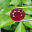 พลอย ทับทิม Ruby sapphire 20.25 กะรัต (Cts.) พลอยแท้ อัญมณีมงคลประจําวันเกิด เครื่องประดับพลอย