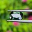 พลอย เขียวส่อง Green Sapphire 0.73 กะรัต (Cts.) ดิบ Unheated พลอยแท้ อัญมณีมงคลประจําวันเกิด เครื่องประดับพลอย