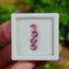 พลอย ชมพู พิ้ง แซฟไฟร์ Pink Sapphire 4 เม็ด 1.54 กะรัต (Cts.) พลอยแท้ อัญมณีมงคลประจําวันเกิด เครื่องประดับพลอย