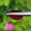 พลอย ทับทิม Ruby sapphire 3.24 กะรัต (Cts.) เผาใหม่ พลอยแท้ อัญมณีมงคลประจําวันเกิด เครื่องประดับพลอย