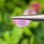 พลอย ชมพู พม่า พิ้ง แซฟไฟร์ Burmese Pink Sapphire 1.36 กะรัต (Cts.) พร้อมใบเซอร์ พลอยแท้ อัญมณีมงคลประจําวันเกิด เครื่องประดับพลอย