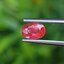 พลอย ชมพู พิ้ง แซฟไฟร์ Pink Sapphire 0.78 กะรัต (Cts.) พลอยแท้ อัญมณีมงคลประจําวันเกิด เครื่องประดับพลอย