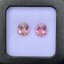 พลอย ชมพู พิ้งค์ ทัวร์มารีน (Pink Tourmaline) 2 เม็ด (Pcs.) 8.09 กะรัต (Cts.) อัญมณีมงคลประจําวันเกิด เครื่องประดับพลอย