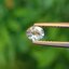 พลอย อเล็กซานไดร์ (Natural Alexandrite Chrysoberyl) 0.26 กะรัต (Cts.) ดิบ (Unheated) พร้อมใบเซอร์ พลอยแท้ อัญมณีมงคลประจําวันเกิด เครื่องประดับพลอย