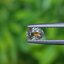พลอย อเล็กซานไดร์ (Natural Alexandrite Chrysoberyl) 0.30 กะรัต (Cts.) ดิบ (Unheated) พร้อมใบเซอร์ พลอยแท้ อัญมณีมงคลประจําวันเกิด เครื่องประดับพลอย