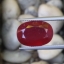 พลอย ทับทิม Ruby sapphire 12.50 กะรัต (Cts.) พลอยแท้ อัญมณีมงคลประจําวันเกิด เครื่องประดับพลอย