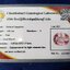 พลอย ชมพู พิ้ง แซฟไฟร์ Pink Sapphire 1.01 กะรัต (Cts.) พร้อมใบเซอร์ พลอยแท้ อัญมณีมงคลประจําวันเกิด เครื่องประดับพลอย