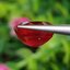 พลอย ทับทิม Ruby sapphire 7.81 กะรัต (Cts.) VS พลอยแท้ อัญมณีมงคลประจําวันเกิด เครื่องประดับพลอย