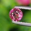 พลอย ชมพู พิ้ง แซฟไฟร์ Pink Sapphire ดิบ Unheated 0.30 กะรัต (Cts.) พลอยแท้ อัญมณีมงคลประจําวันเกิด เครื่องประดับพลอย