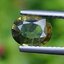 พลอย บุษราคัม yellow sapphire 2.00 กะรัต (Cts.) พลอยแท้ อัญมณีมงคลประจําวันเกิด เครื่องประดับพลอย