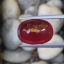 พลอย ทับทิม Ruby sapphire 12.50 กะรัต (Cts.) พลอยแท้ อัญมณีมงคลประจําวันเกิด เครื่องประดับพลอย