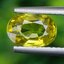 พลอย คริโซเบริล Chrysoberyl 1.31 กะรัต (Cts.) พลอยแท้ อัญมณีมงคลประจําวันเกิด เครื่องประดับพลอย