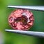 พลอย ทัวร์มารีน (Tourmaline) 0.68 กะรัต (Cts.) อัญมณีมงคลประจําวันเกิด เครื่องประดับพลอย