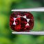 พลอย สปิเนล (Spinel) 1.70 กะรัต (Cts.) ดิบ (Unheated) พลอยแท้ อัญมณีมงคลประจําวันเกิด เครื่องประดับพลอย