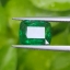พลอย ซาโวไรท์ Tsavorite Garnet 2.33กะรัต (Cts.) ดิบ Unheated.