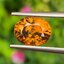 พลอย เพทาย Natural Zircon 4.51 กะรัต (Cts.) พลอยแท้อัญมณีมงคล ประจําวันเกิด เครื่องประดับพลอย