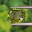 พลอย กรีน ทัวร์มารีน (Green Tourmaline) 6.35 กะรัต (Cts.) อัญมณีมงคลประจําวันเกิด เครื่องประดับพลอย