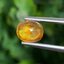 พลอย บุษราคัม Yellow Sapphire 1.44 กะรัต (Cts.) พลอยแท้ อัญมณีมงคลประจําวันเกิด เครื่องประดับพลอย