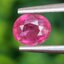 พลอย ทับทิม Ruby sapphire 1.05 กะรัต (Cts.) พลอยแท้ อัญมณีมงคลประจําวันเกิด เครื่องประดับพลอย