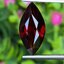 พลอย โกเมน Pyrope - Almandite Garnet 5.50 กะรัต (Cts.) พลอยแท้ อัญมณีมงคลประจําวันเกิด เครื่องประดับพลอย