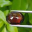 พลอย โรโดไลต์ กาเน็ท Rhodolite Garnet 10.13 กะรัต Cts. พร้อมใบเซอร์ พลอยแท้ อัญมณีมงคลประจําวันเกิด เครื่องประดับพลอย