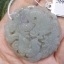 หยก พม่า แท้ Jade จี้หยก (jadeite) แกะสลักรูปมังกร ดิบ ไม่ผ่านการปรับปรุง (Type A) พม่า (Myanmar)