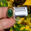 หยก พม่า แท้ Jade แหวนหยก 翡翠戒指 (Jadeite ring) 1.56 กะรัต (Cts.) Size 54 ดิบ ไม่ผ่านการปรับปรุง (Type A) พม่า (Myanmar)