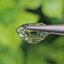 พลอย ทัวร์มาลีน Tourmaline 2.11 กะรัต (Cts.) พลอยแท้อัญมณีมงคล ประจําวันเกิด เครื่องประดับพลอย