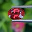 พลอย ทับทิม ซองเจีย Songea Ruby Sapphire 1.05 กะรัต (Cts.) พลอยแท้ อัญมณีมงคลประจําวันเกิด เครื่องประดับพลอย