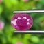 พลอย ทับทิม พม่า (Burmese Ruby Sapphire) 1.56 กะรัต พลอยแท้ อัญมณีมงคลประจําวันเกิด เครื่องประดับพลอย