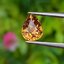 พลอย เพทาย (Zircon) 1.31 กะรัต (Cts.) พลอยแท้ อัญมณีมงคลประจําวันเกิด เครื่องประดับพลอย