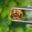 พลอย เพทาย (Zircon) 1.80 กะรัต (Cts.) พลอยแท้ อัญมณีมงคลประจําวันเกิด เครื่องประดับพลอย
